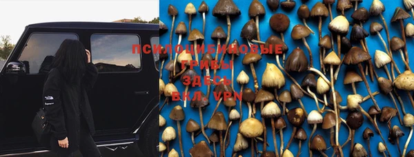 кристаллы Осинники