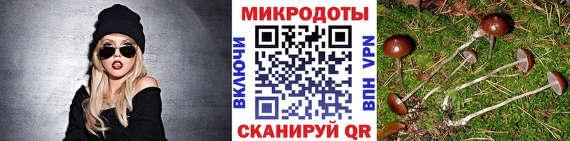 Псилоцибиновые грибы Psilocybe  Купить  Салават 